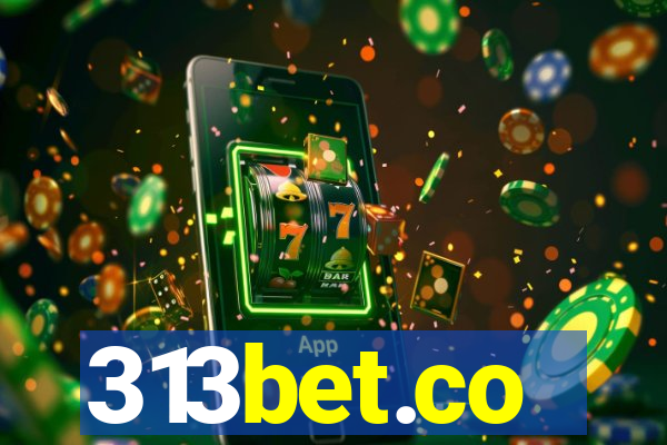 313bet.co