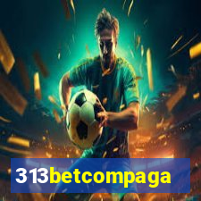 313betcompaga