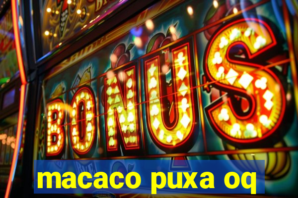 macaco puxa oq