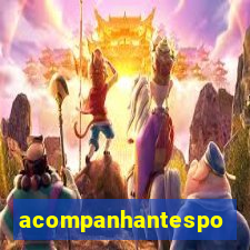 acompanhantesportovelho