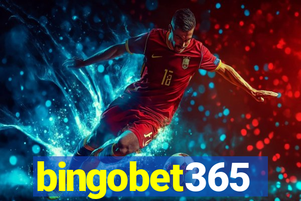 bingobet365