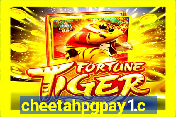 cheetahpgpay1.com