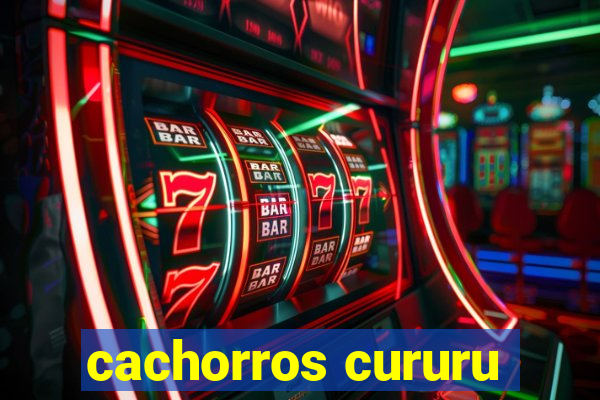 cachorros cururu