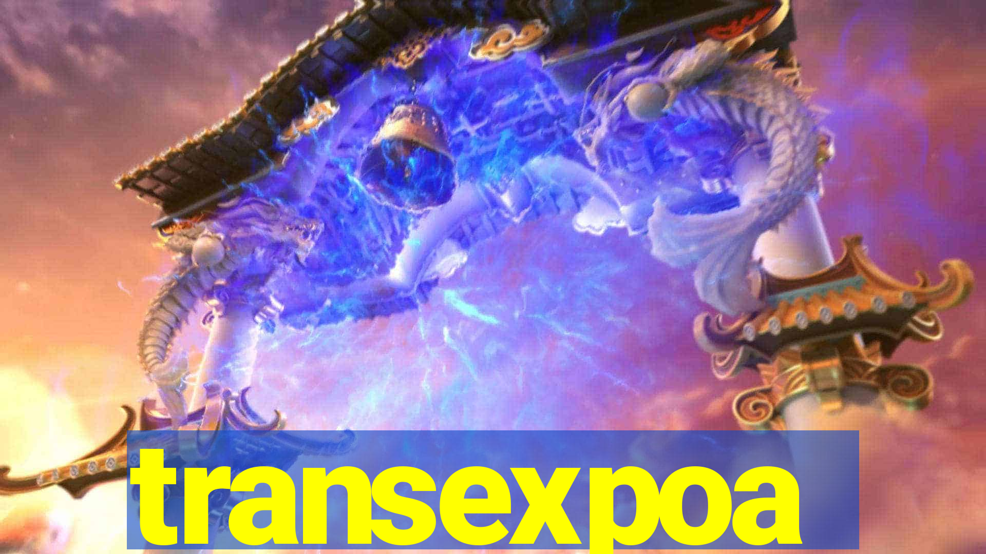 transexpoa